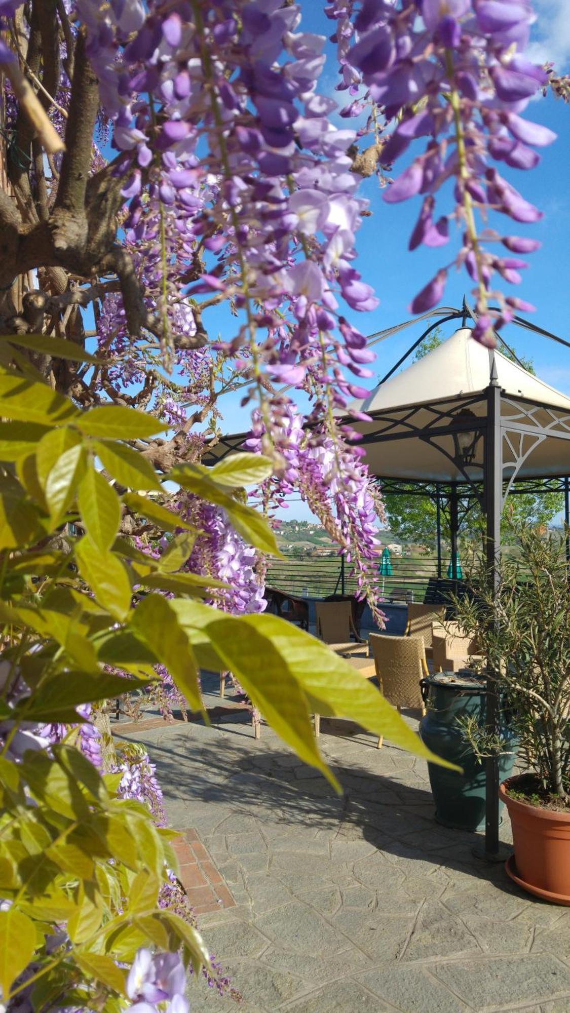 Locanda Del Boscogrande Montegrosso d'Asti Екстер'єр фото