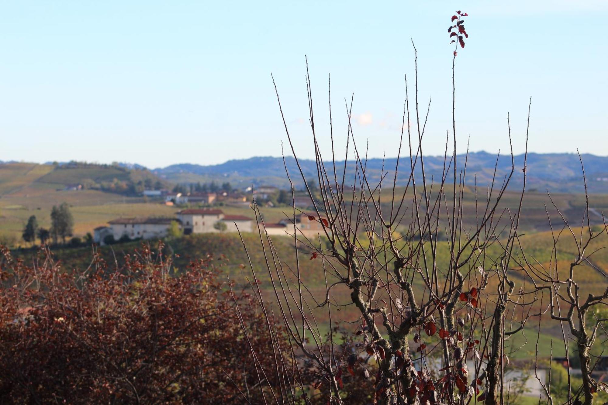 Locanda Del Boscogrande Montegrosso d'Asti Екстер'єр фото