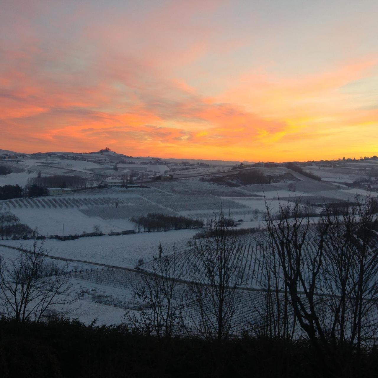 Locanda Del Boscogrande Montegrosso d'Asti Екстер'єр фото