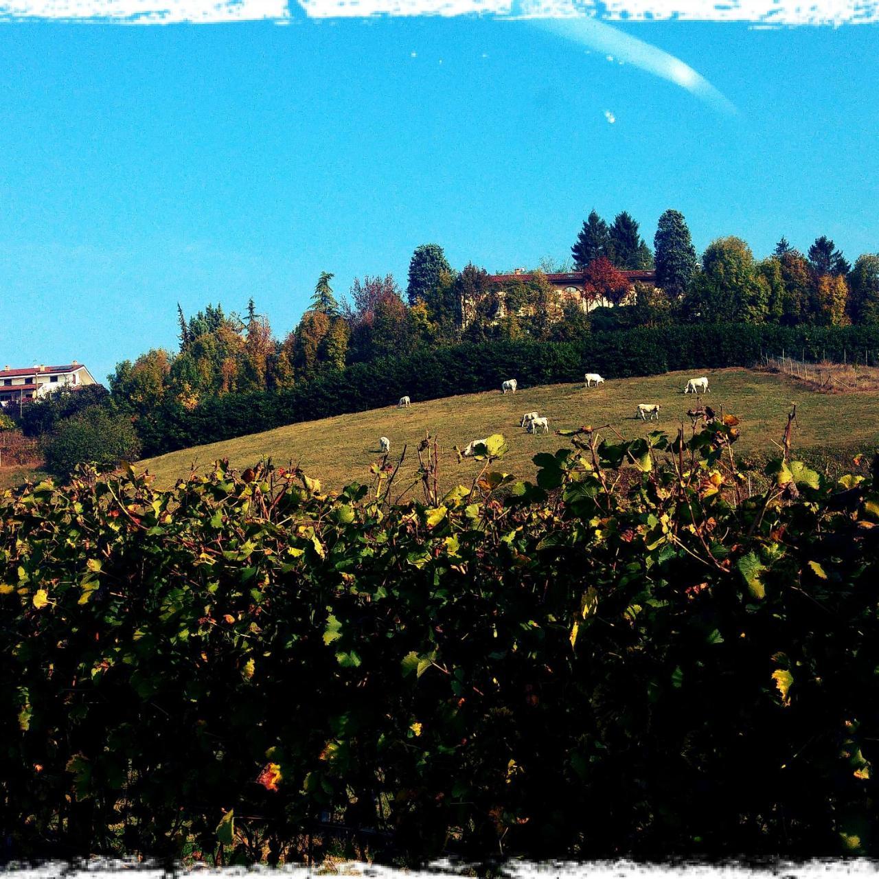 Locanda Del Boscogrande Montegrosso d'Asti Екстер'єр фото